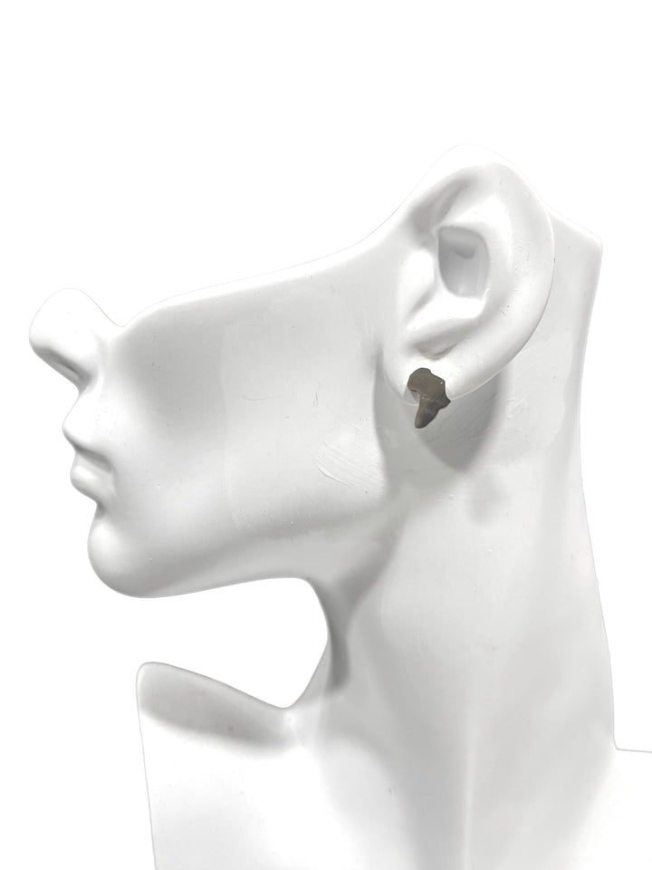 Africa Map Solid Stud Earrings - Trufacebygrace