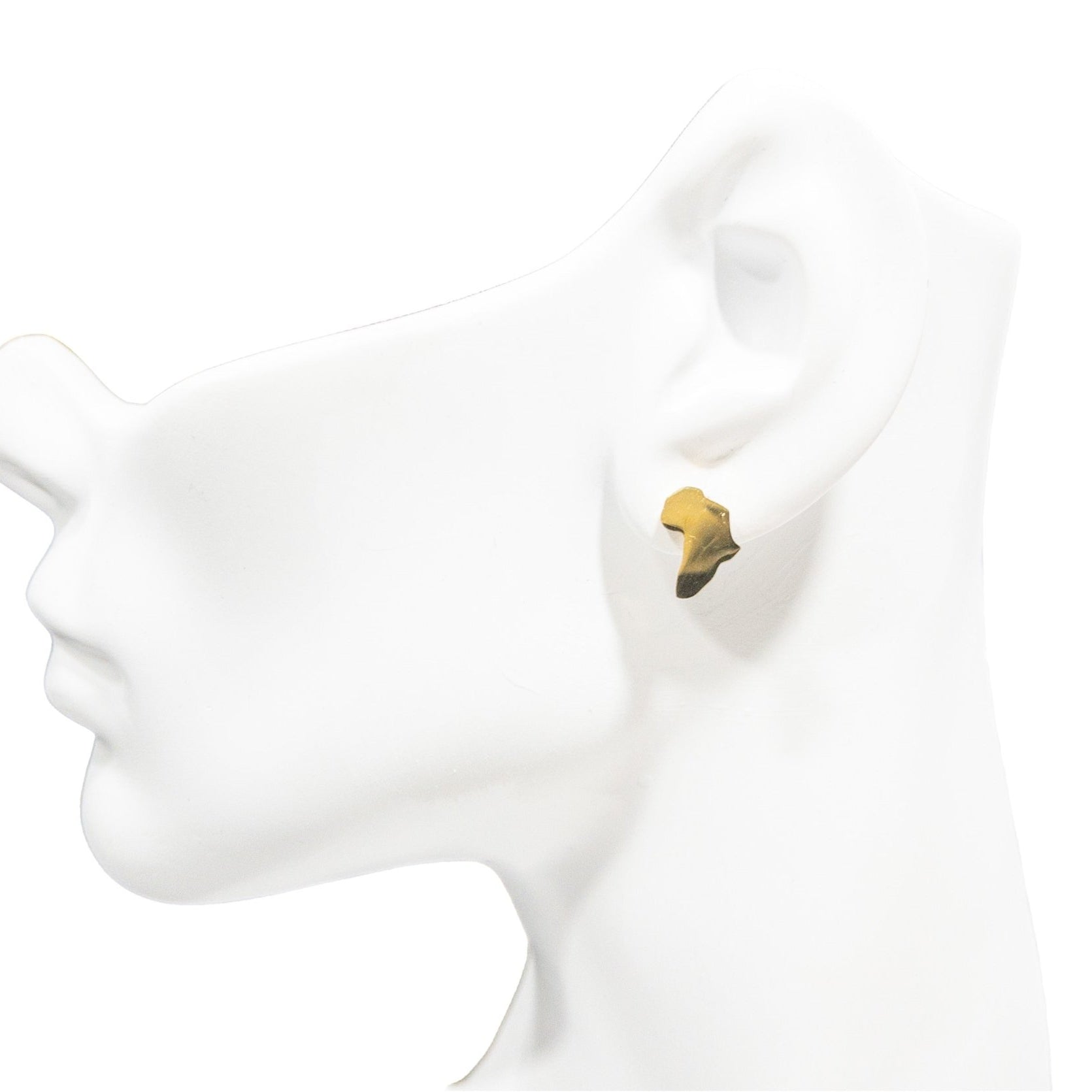 Africa Map Solid Stud Earrings - Trufacebygrace