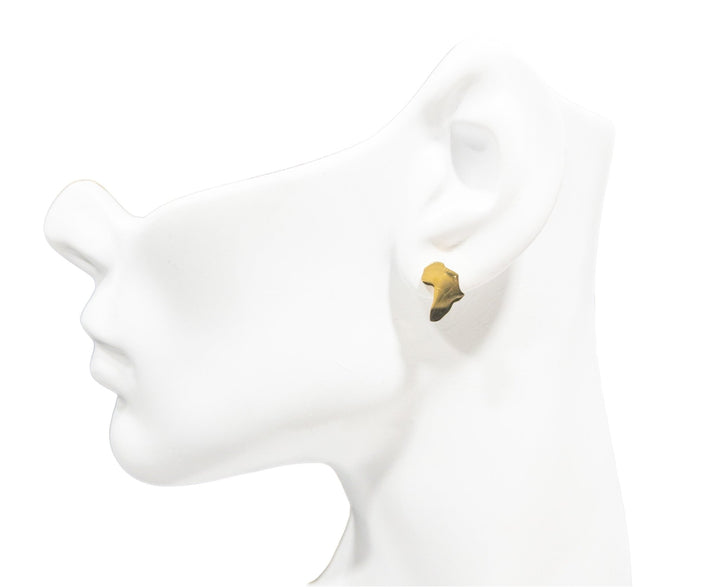 Africa Map Solid Stud Earrings - Trufacebygrace