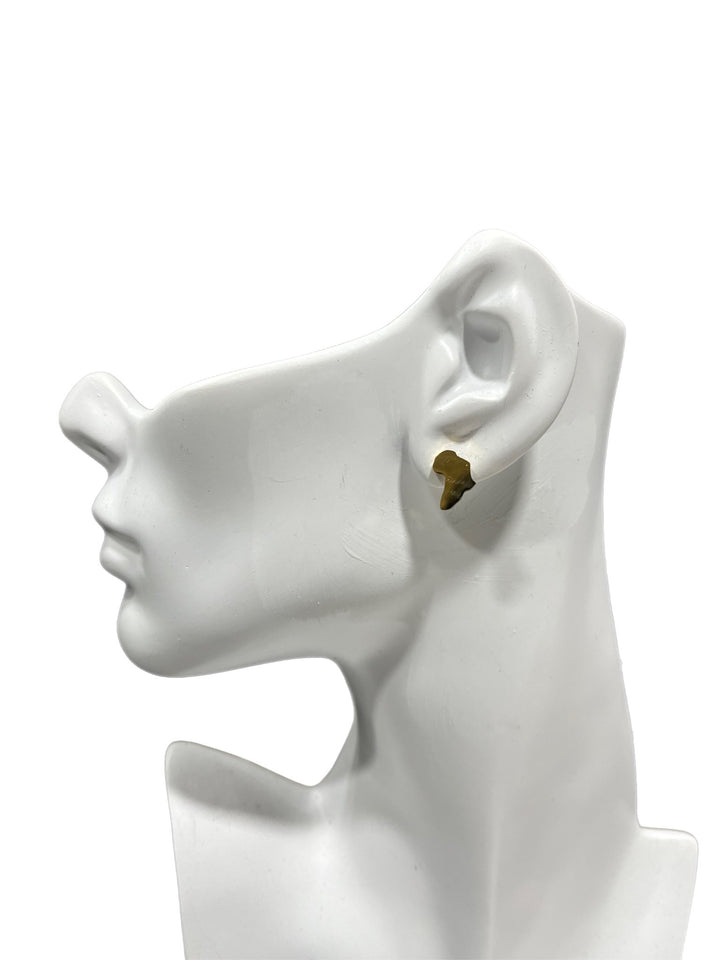 Africa Map Solid Stud Earrings - Trufacebygrace