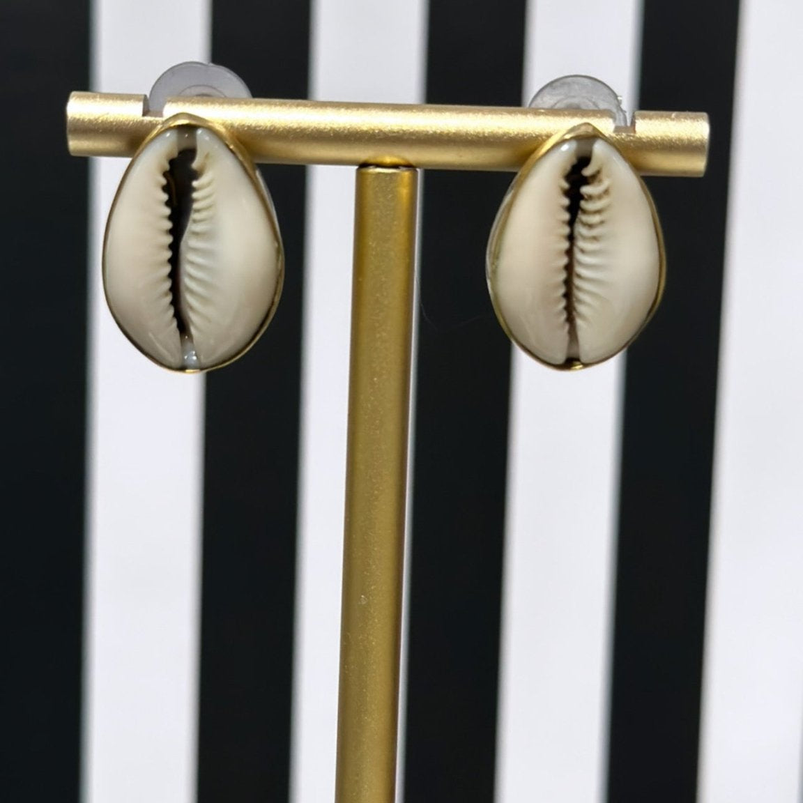Cowry baako shell Stud Earrings - Trufacebygrace
