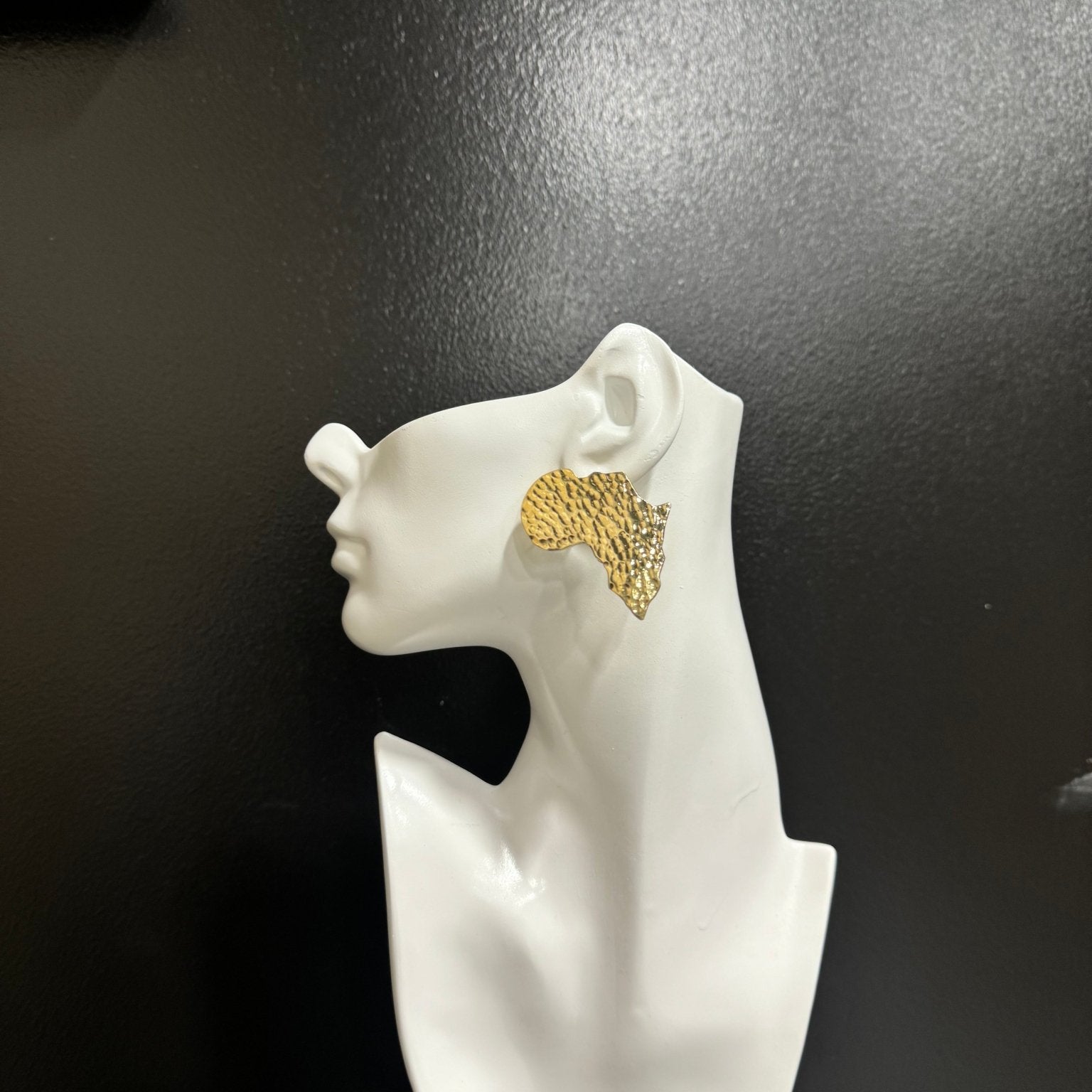 Simple Brass African Map Stud Earrings - Trufacebygrace
