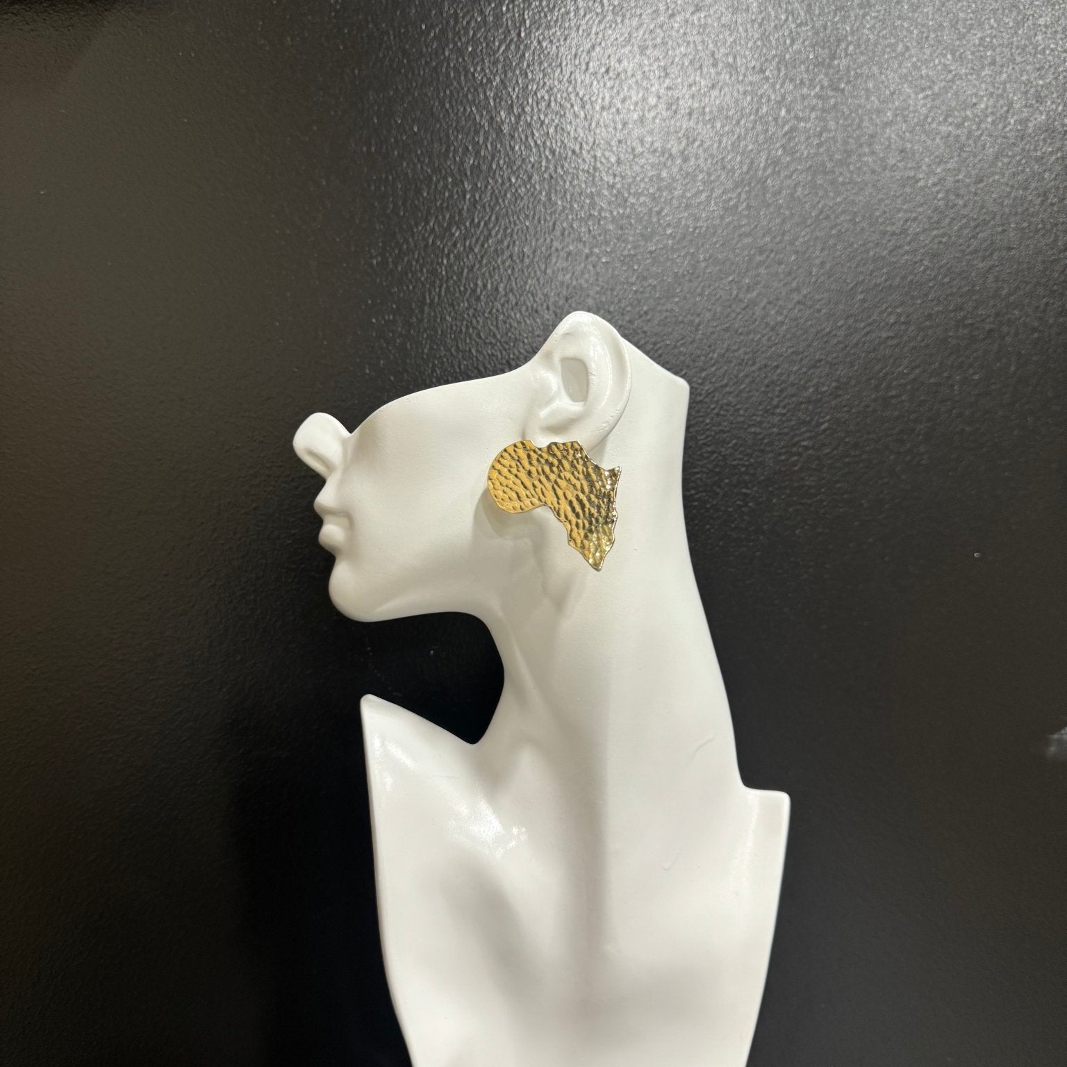 Simple Brass African Map Stud Earrings - Trufacebygrace