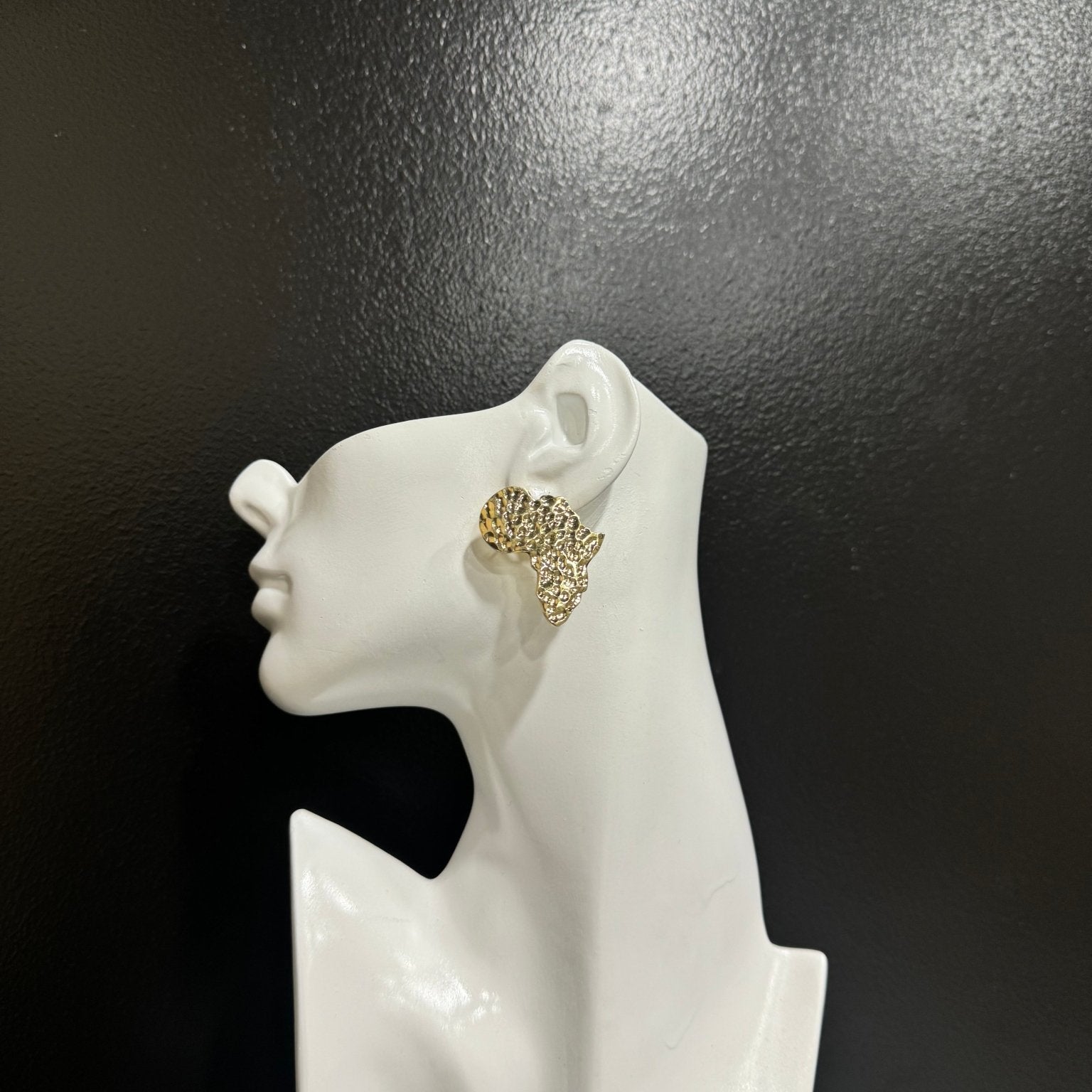 Simple Brass African Map Stud Earrings - Trufacebygrace