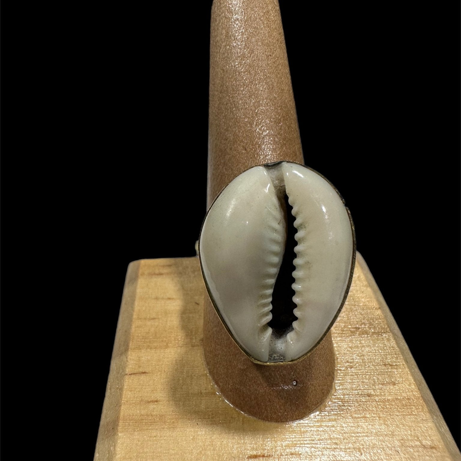 Single Cowry shell Ring - Trufacebygrace