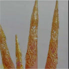 Ngongo Gold False Finger Nails - Trufacebygrace