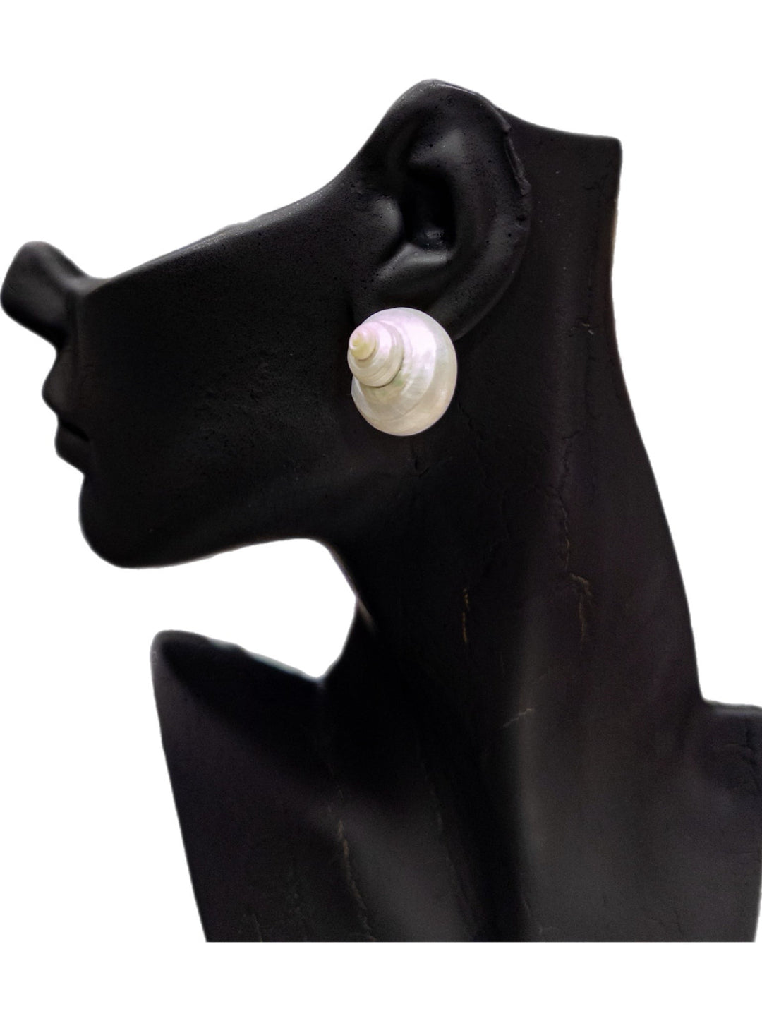 Sample: Minimalist Shell Stud Earrings - Trufacebygrace